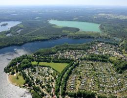 Senftenberger See Halbinsel Niemtsch 20240514 SR 9105